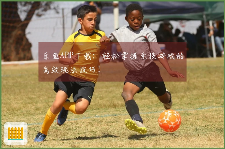 乐鱼APP下载：轻松掌握竞技游戏的高效玩法技巧！