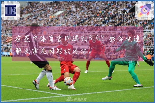 在星空体育官网遇到BUG？教你快速解决常见问题的方法！